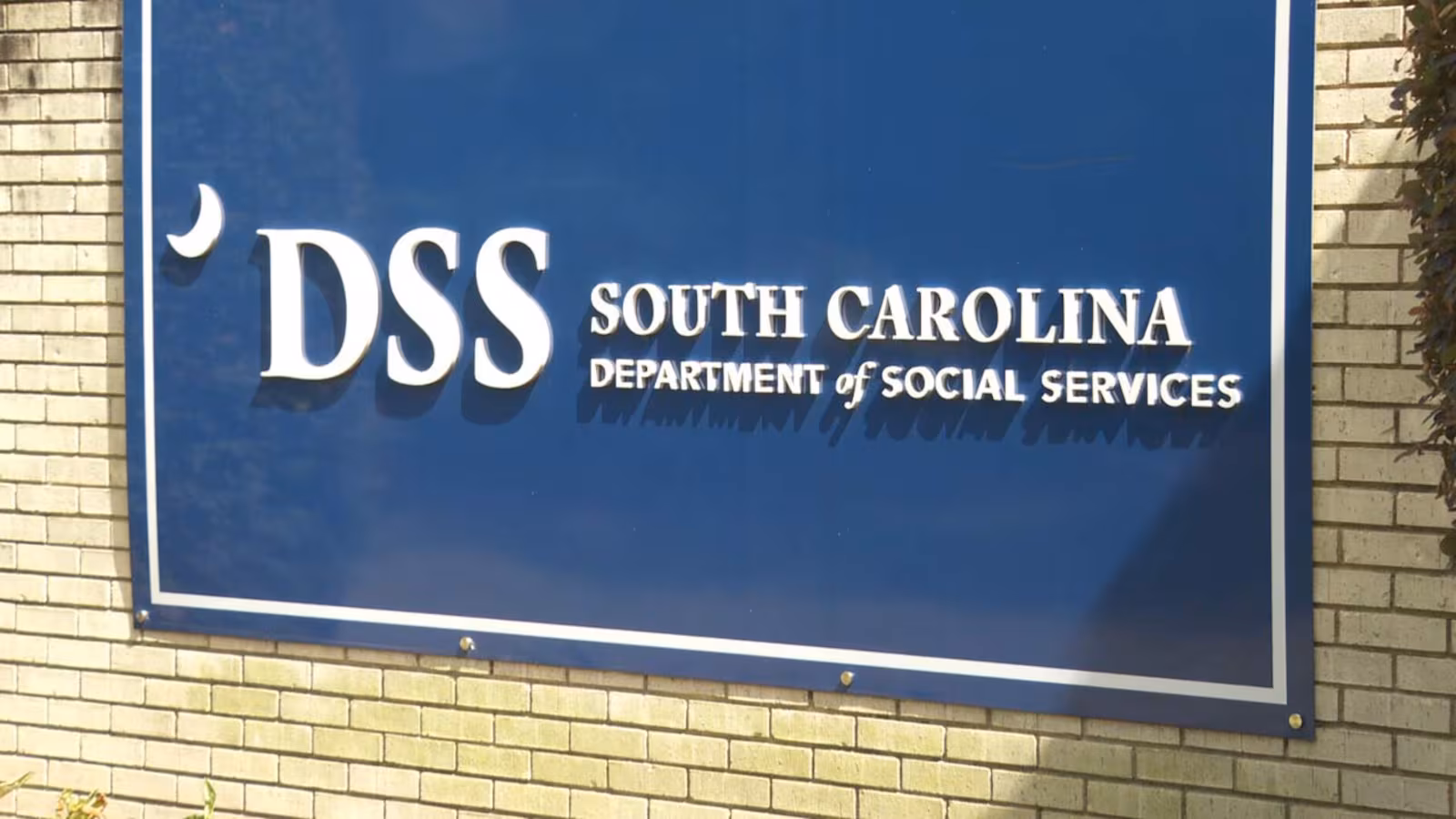 SCDSS